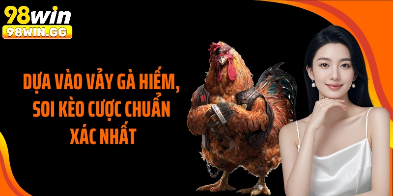 Dựa vào vảy gà hiếm, soi kèo cược chuẩn xác nhất