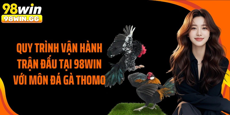 Quy trình vận hành trận đấu tại 98Win với môn đá gà Thomo